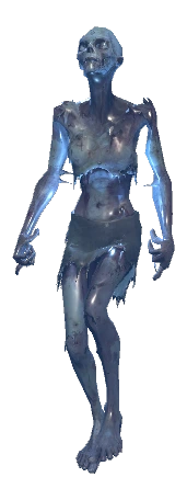 Frost Walker, a frozen walker
